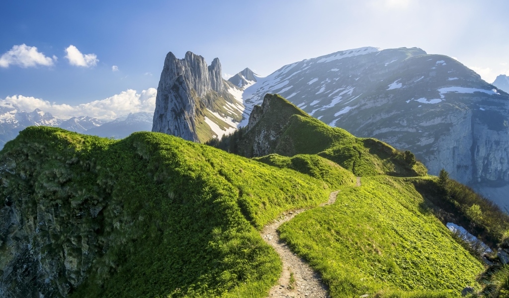 Красивый вид на покрытые зеленью Швейцарские Альпы