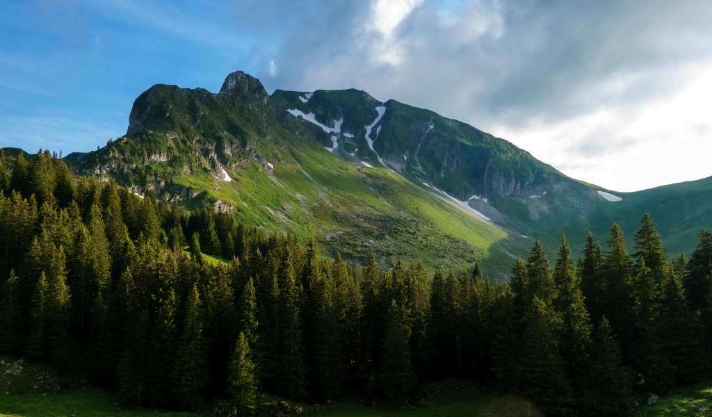 Вид на покрытые растительностью Альпы, Швейцария