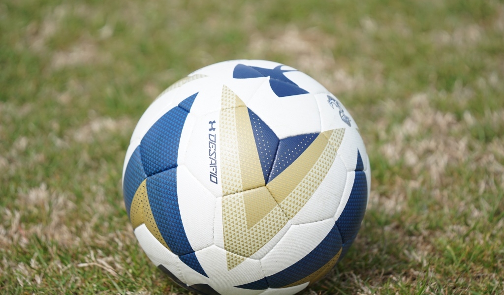 Большой футбольный мяч на поле