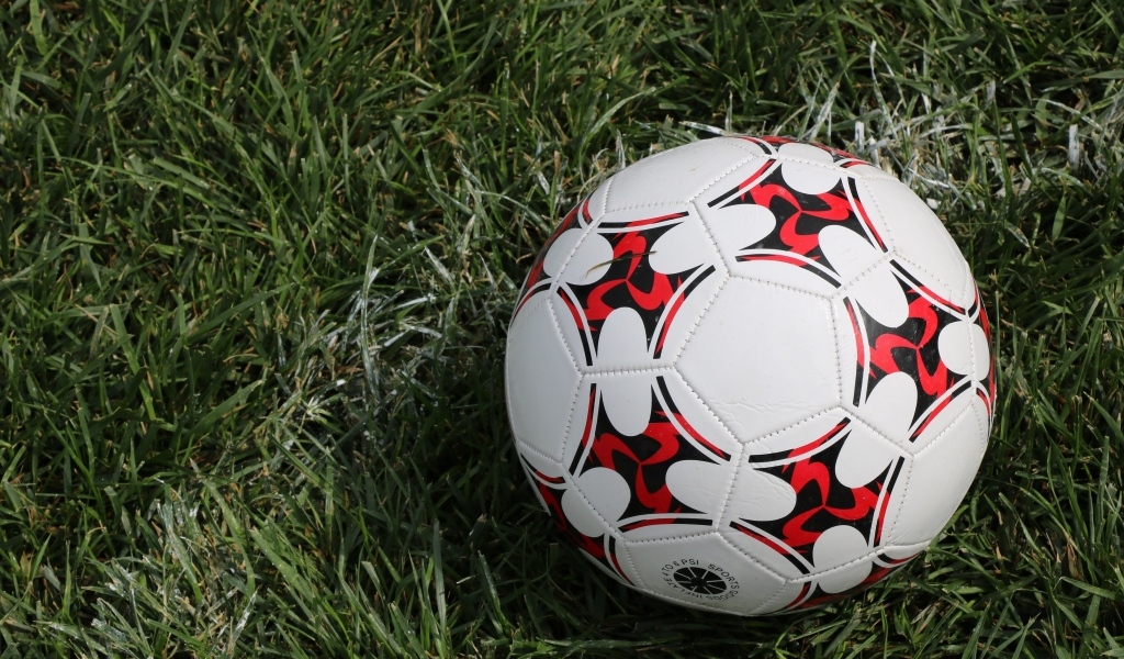 Кожаный футбольный мяч на зеленой траве