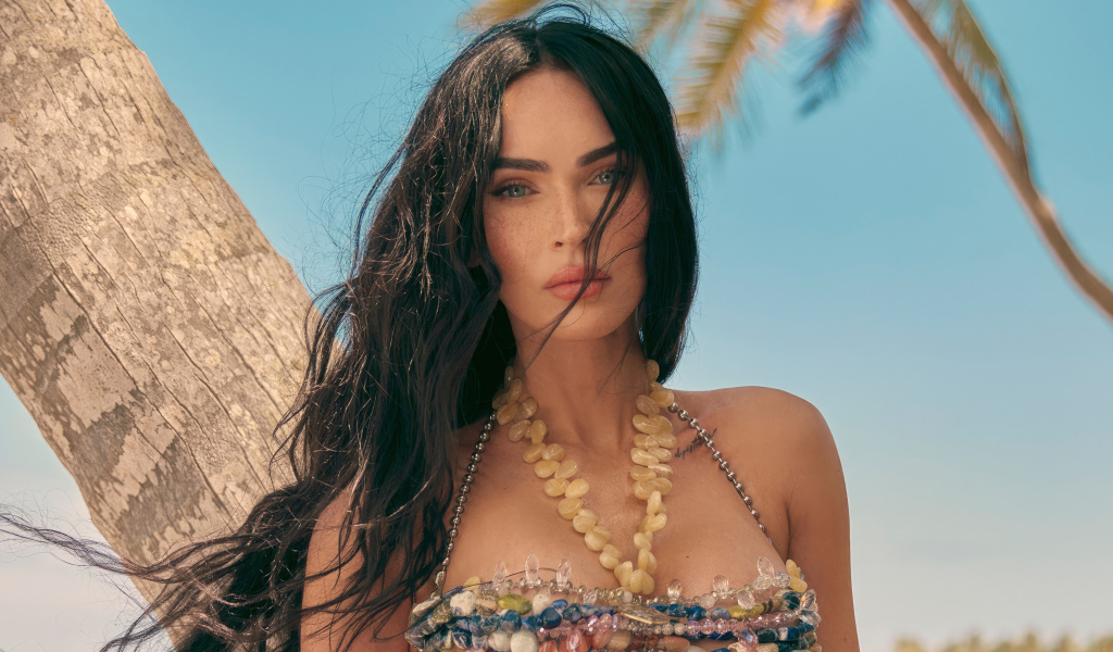 Длинноволосая брюнетка Меган Фокс на пляже