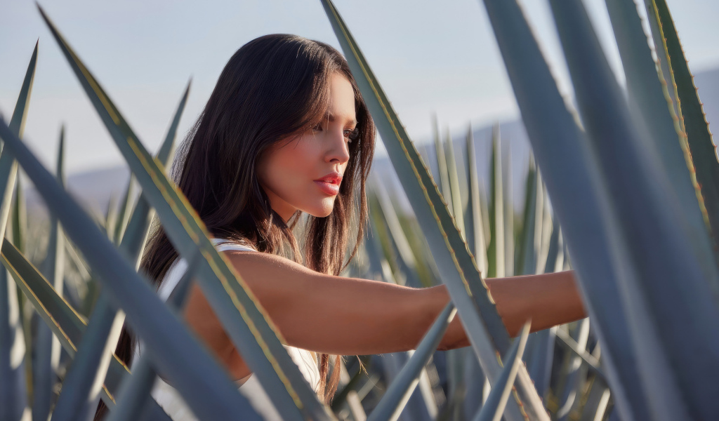 Милая актриса Эйса Гонсалес в зарослях