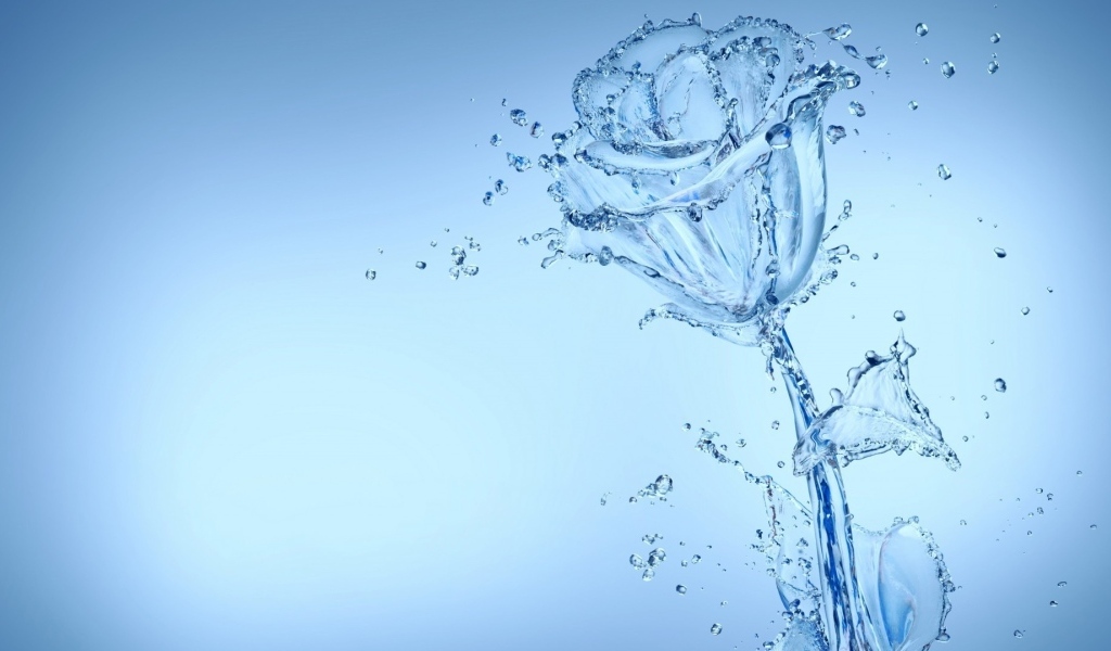 Красивая роза из воду на голубом фоне
