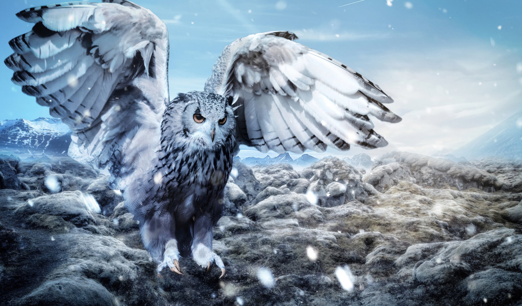 Большая сова расправила крылья 