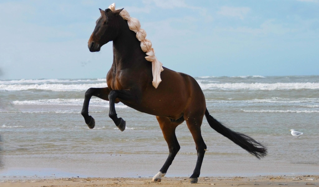 Большая коричневая лошадь на песке у моря