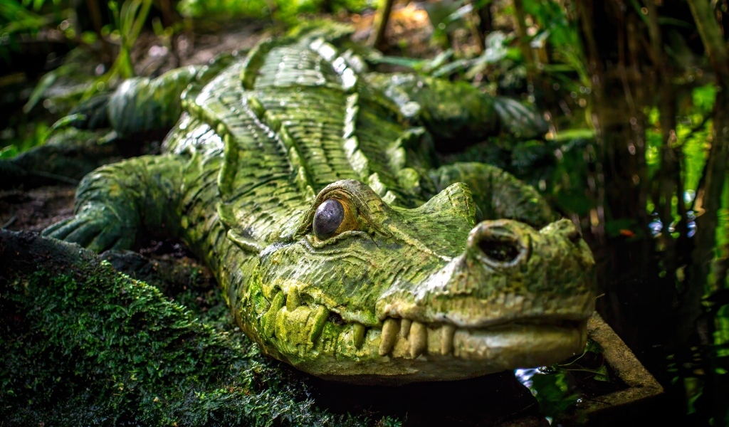 Большой зеленый крокодил у воды