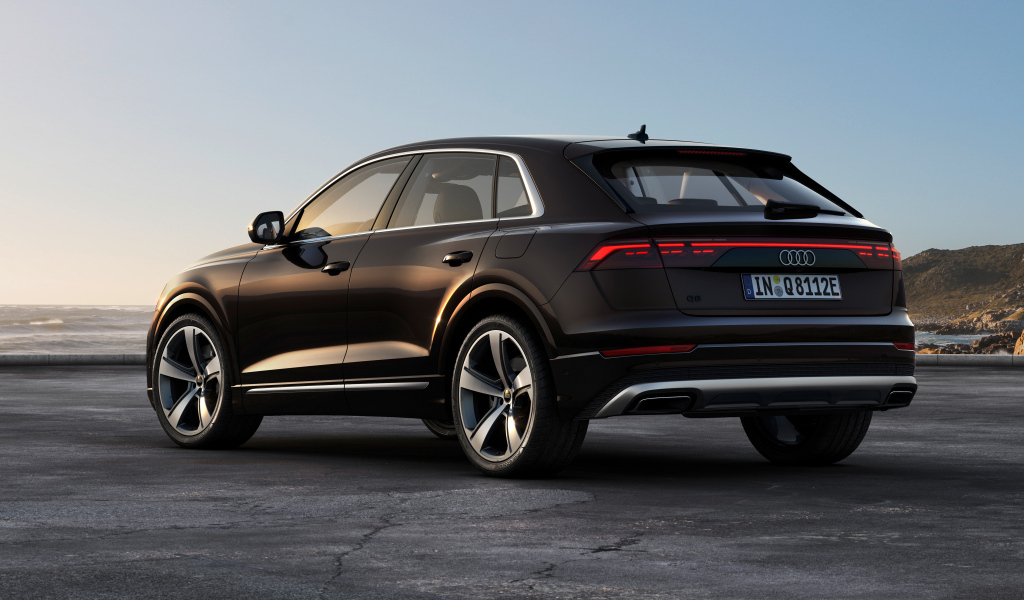 Вид сзади на черный автомобиль Audi Q8 55 TFSI E Quattro 2024 года