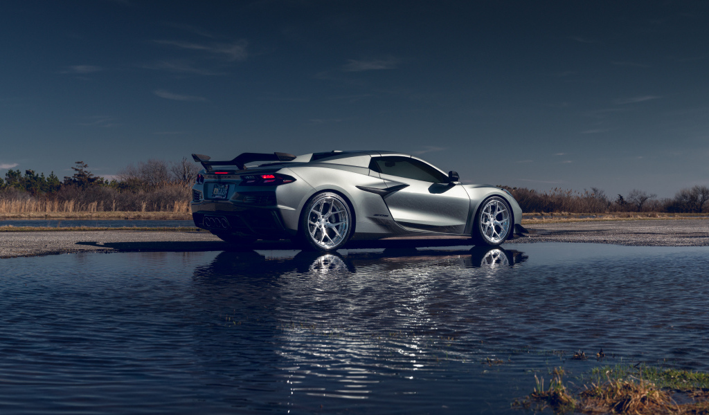 Вид сзади на автомобиль Chevy Corvette Z06 у воды