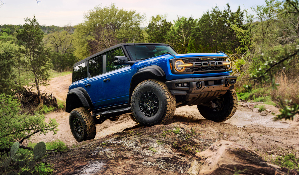 Внедорожник Ford Bronco Raptor Black Appearance Package 2024  года