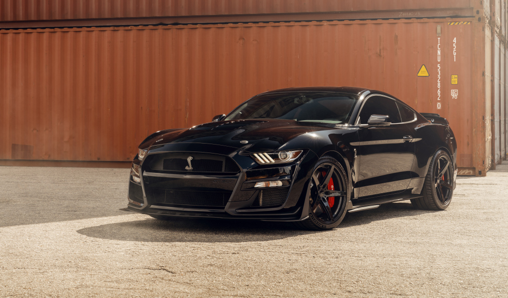 Черный автомобиль Shelby GT500  в порту