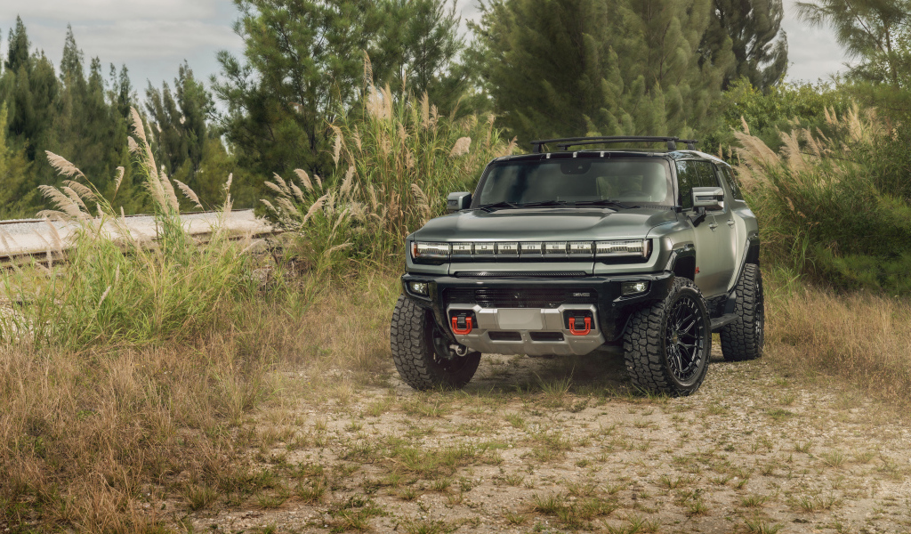 Пикап Hummer EV в зарослях