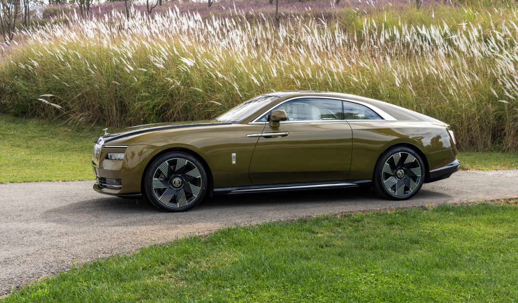 Оливковый автомобиль Rolls-Royce Spectre у высокой травы