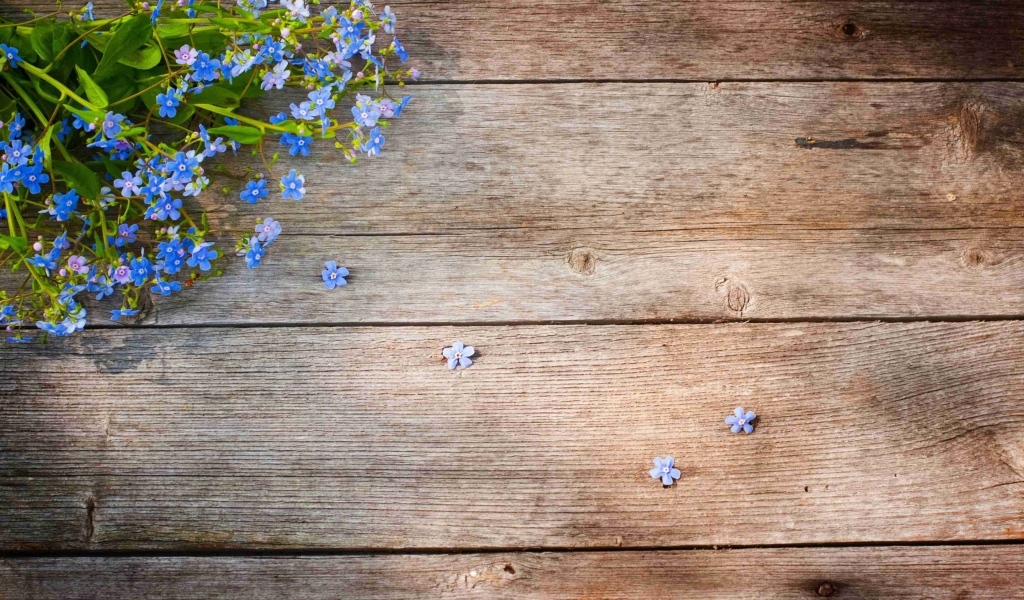 Голубые цветы незабудки на деревянном фоне