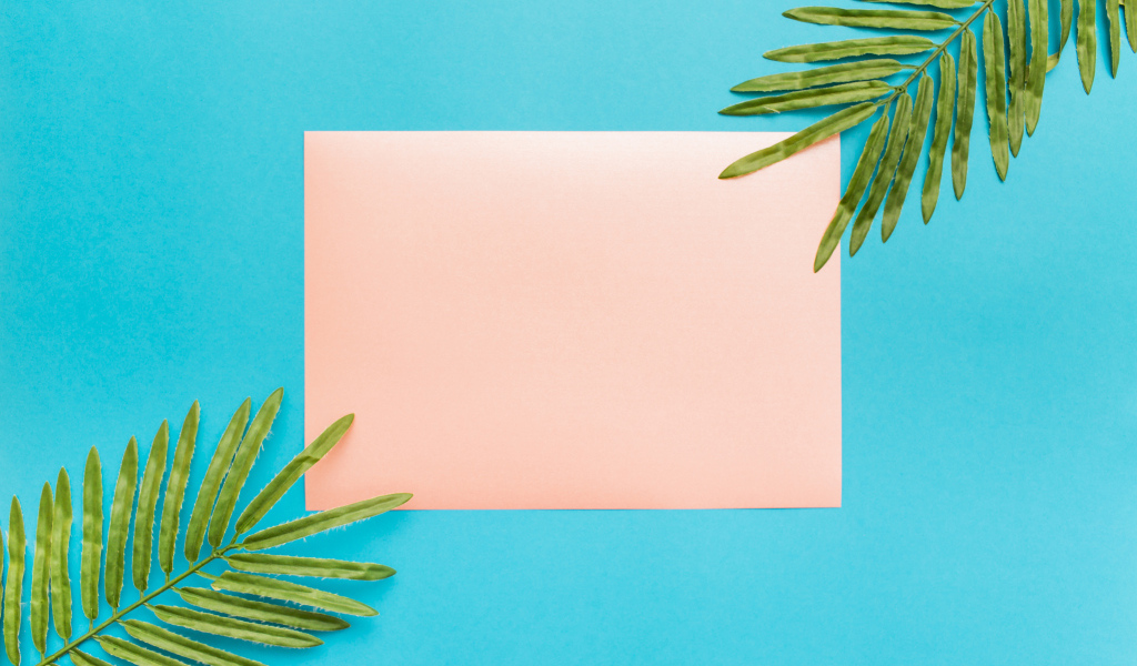 Лист бумаги и два зеленых листа на голубом фоне