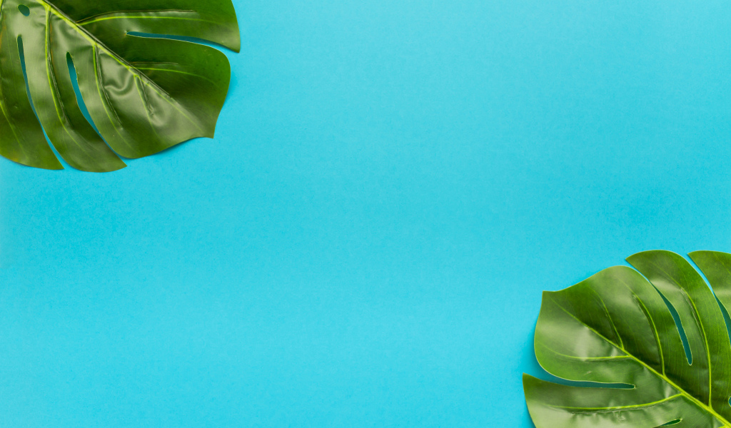 Два зеленых листа на голубом фоне