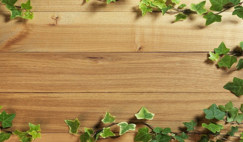 Деревянный фон с листьями плюща