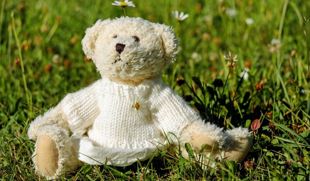 Игрушечный медвежонок в свитере сидит на траве