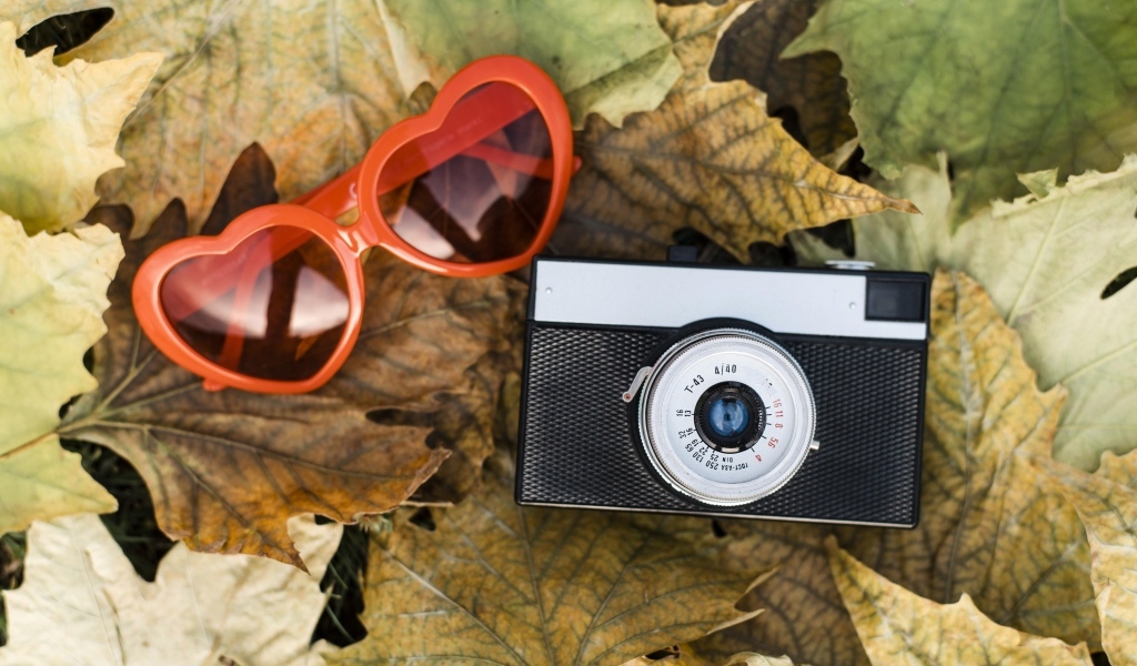 Фотоаппарат с очками на опавшей листве