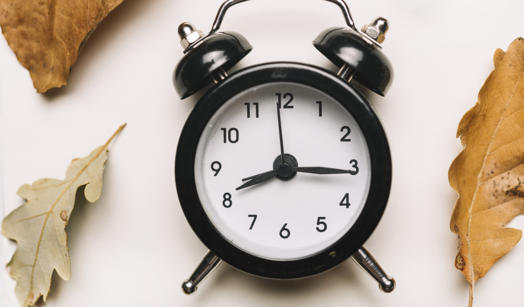 Большой черный будильник на белом фоне с листвой