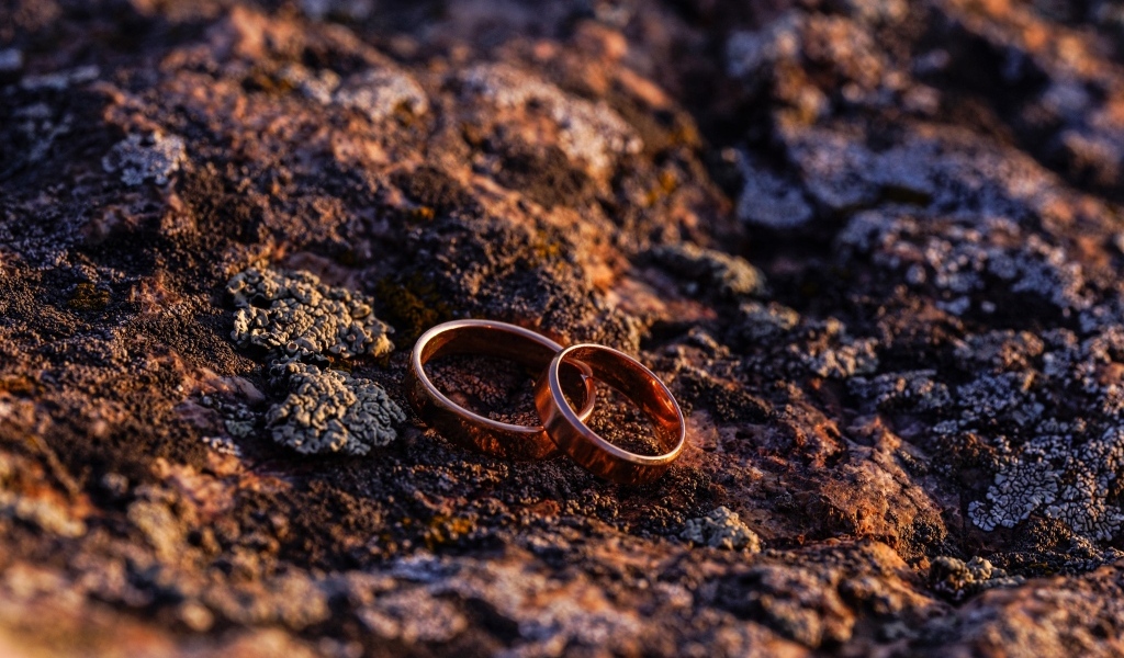 Два обручальных кольца на земле