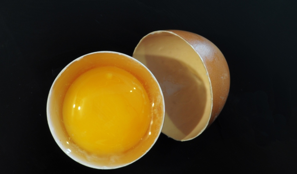 Разбитое яйцо с желтком на черном фоне