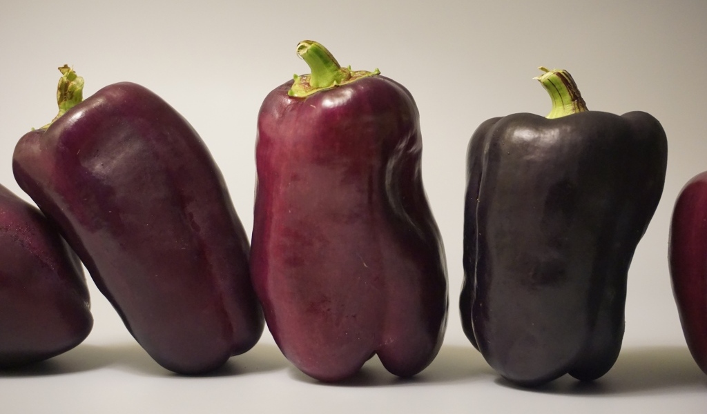 Баклажаны на сером фоне