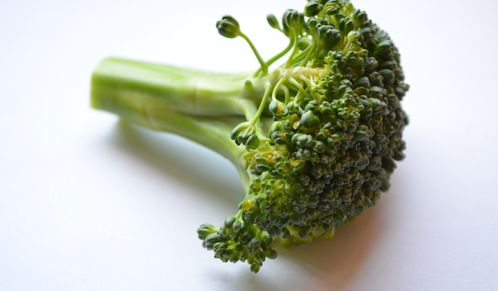 Свежее зеленое брокколи на сером фоне