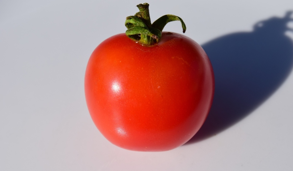 Большой красный помидор на сером фоне