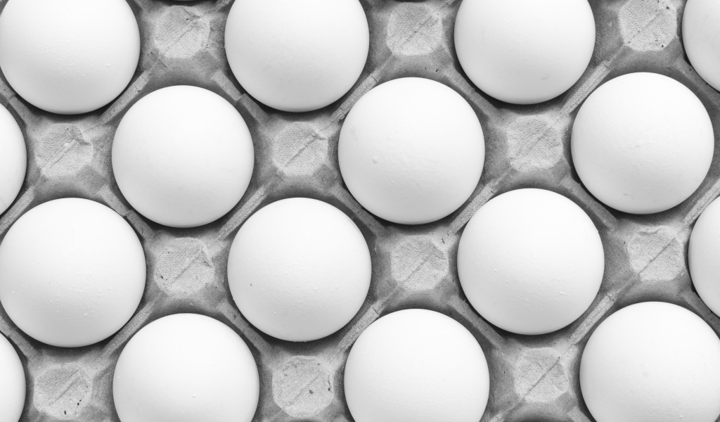 Много белых яиц в подставке на столе