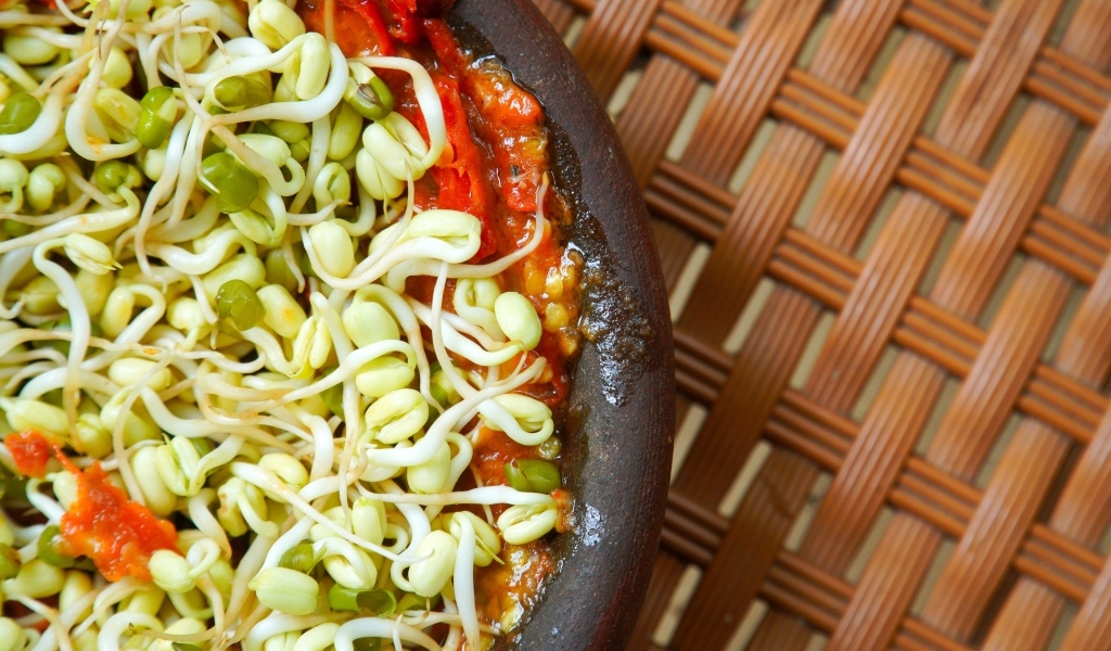 Пророщенные зерна в тарелке с томатами