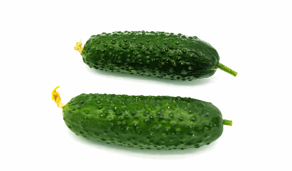 Два зеленых огурца на белом фоне