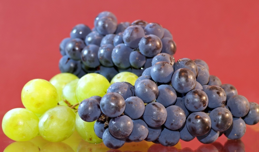 Синий и зеленый виноград на красном фоне