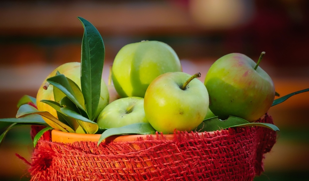 Зеленые яблоки в ведре крупным планом