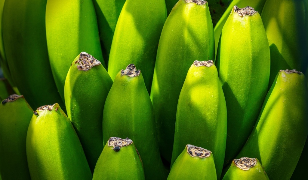 Зеленые бананы крупным планом