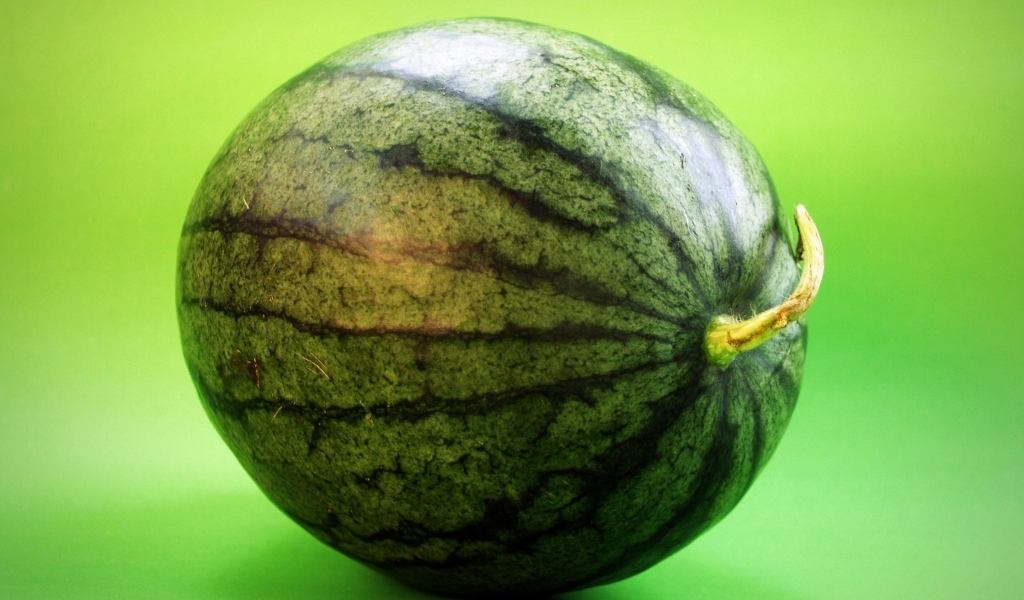 Большой полосатый арбуз на зеленом фоне крупным планом