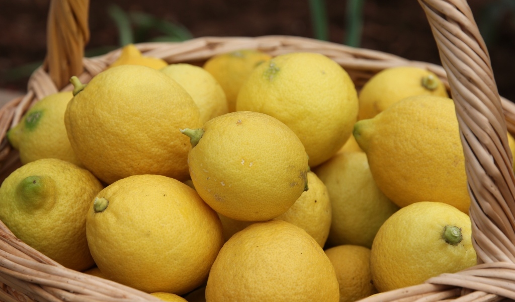 Много спелых желтых лимонов в корзине на столе