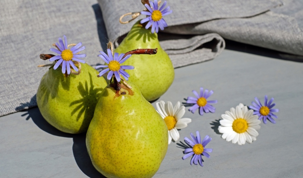 Три зеленые груши с цветами