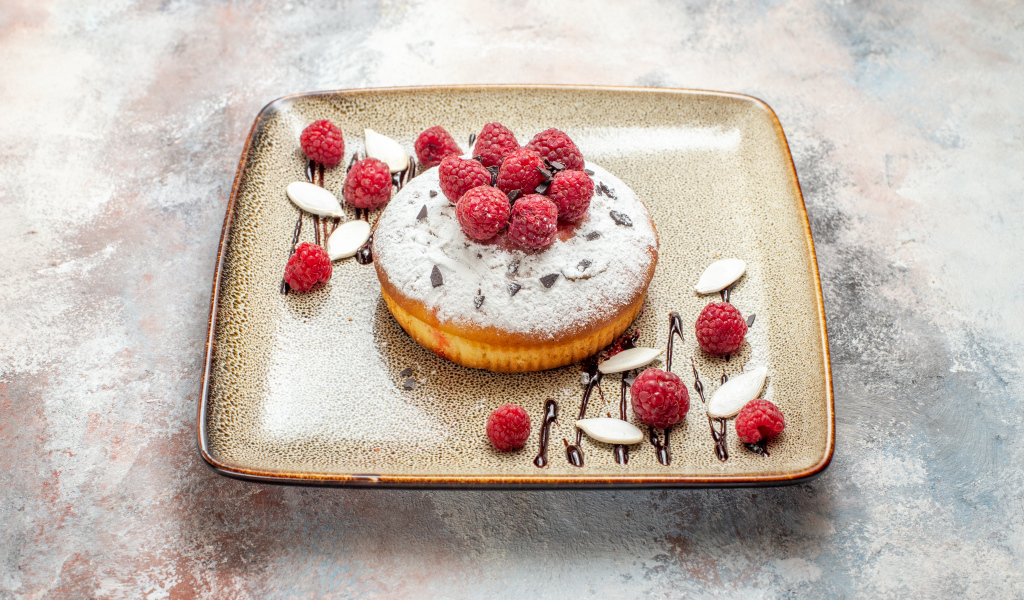 Пирожное с сахарной пудрой и малиной на тарелке