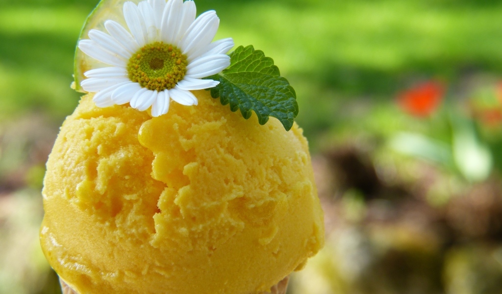 Фруктовое мороженое с мятой и цветком ромашки