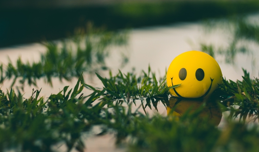 Желтый мяч смайл лежит в воде с травой
