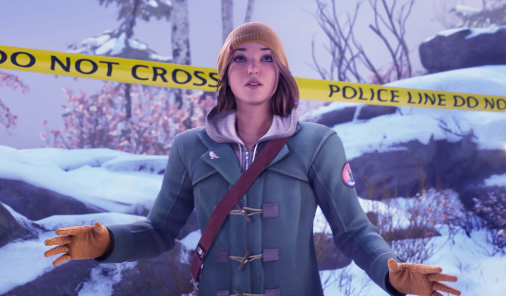 Компьютерная игра Life is Strange: Double Exposure, 2024