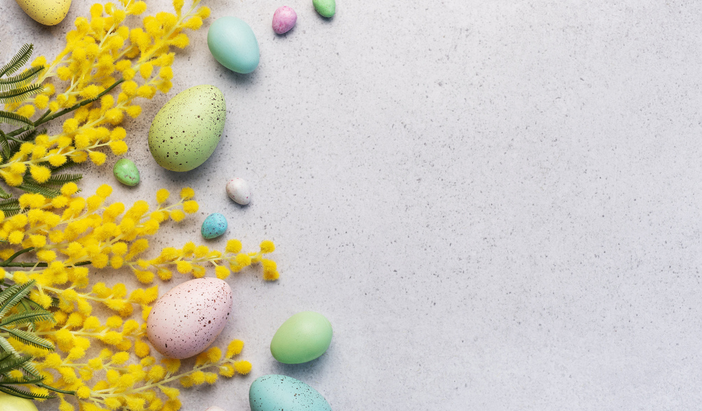 Разноцветные пасхальные яйца с веточками мимозы
