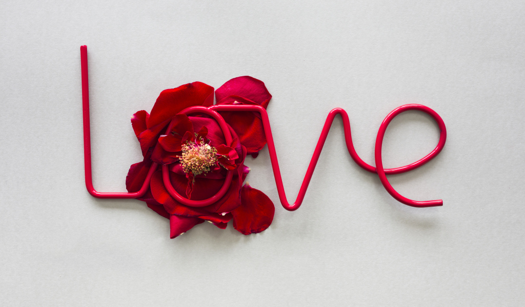 Надпись любовь на сером фоне с цветком 