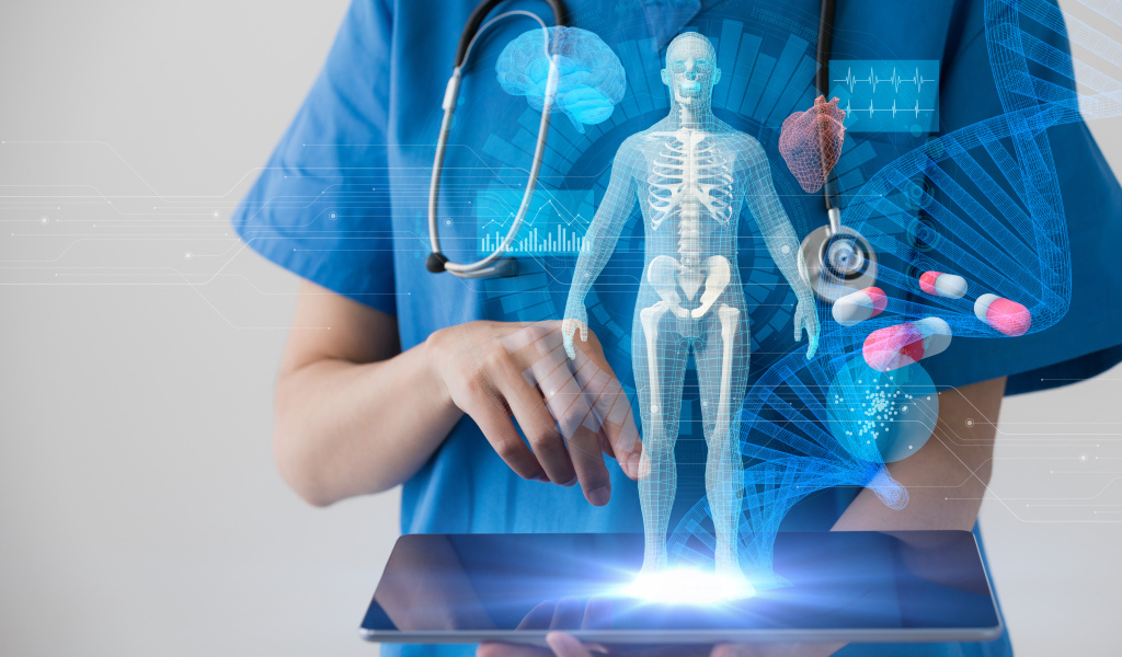 Доктор с макетом человека на планшете