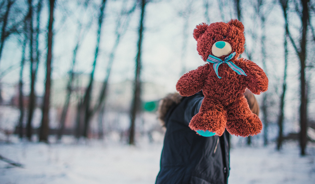 Плюшевый медвежонок Тедди в руках у парня зимой