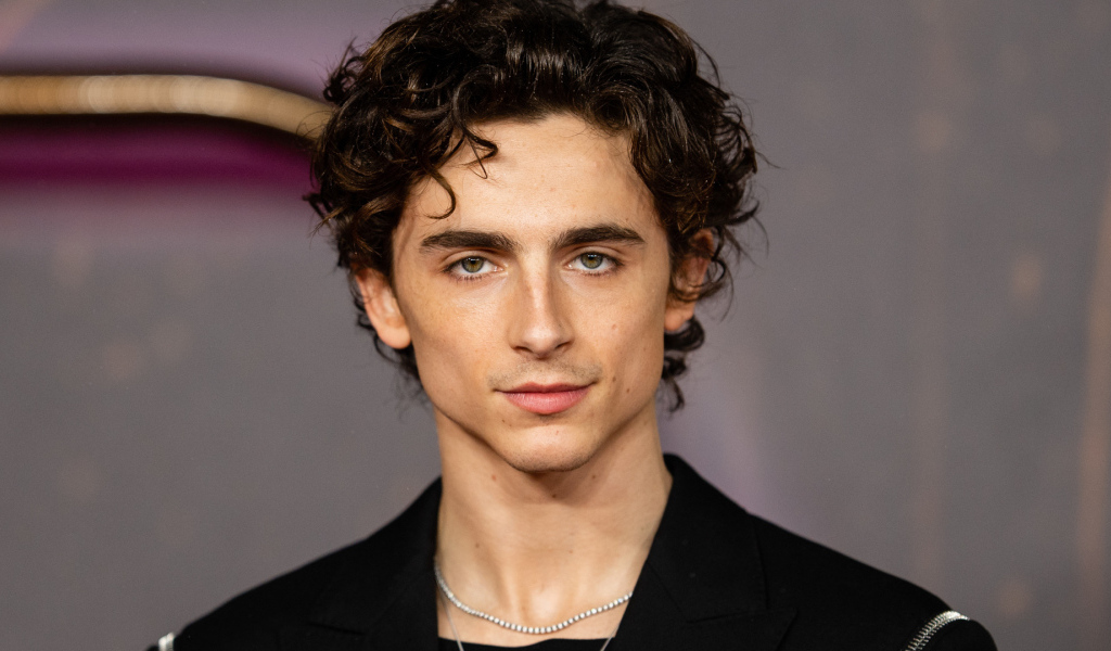 Молодой актер Тимоти Шаламе