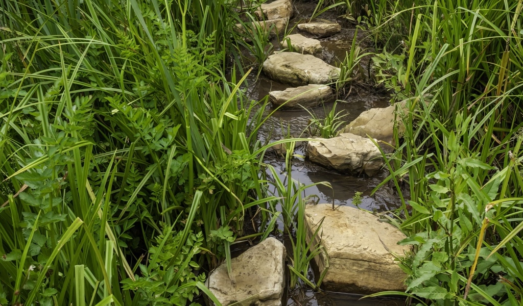 Большие камни в ручье в зеленой траве