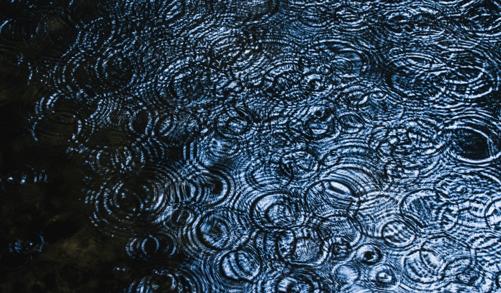 Круги от дождя на воде