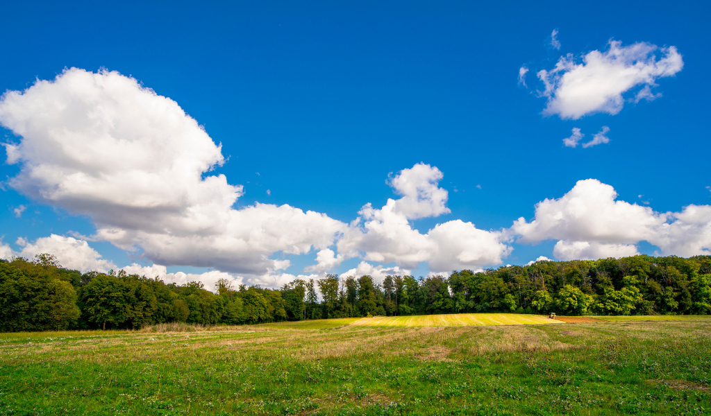Белые густые облака над зеленым полем