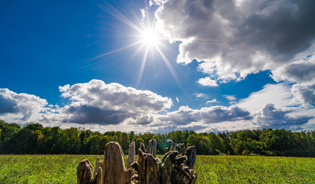 Солнце в голубом небе с белыми облаками над полем